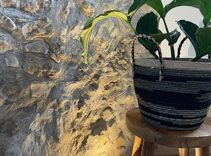 1899 Eltville * Eltville am Rhein